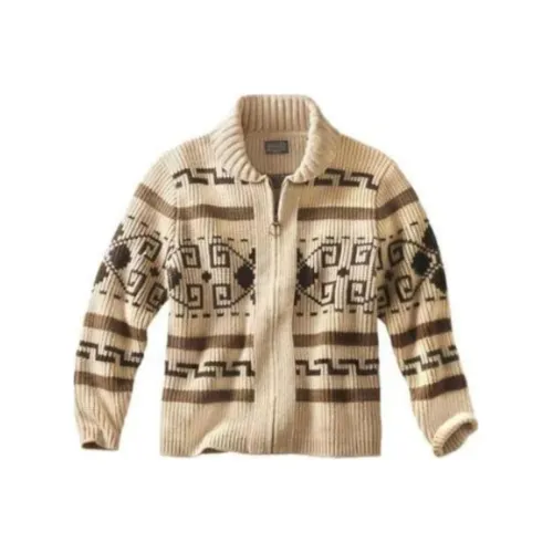 PENDLETON Коричневый Мужские Свитеры