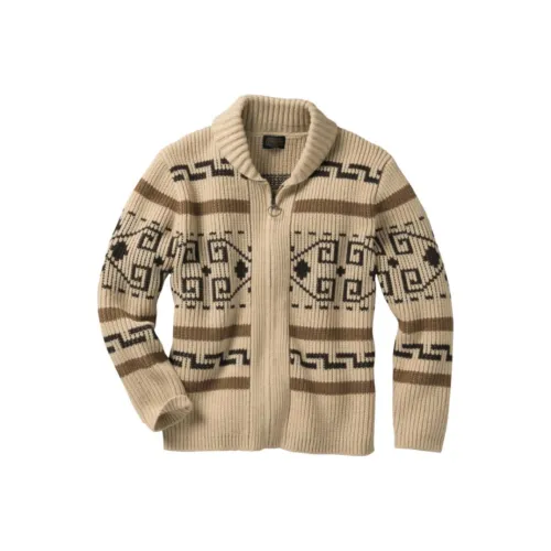PENDLETON Коричневый Мужские Свитеры