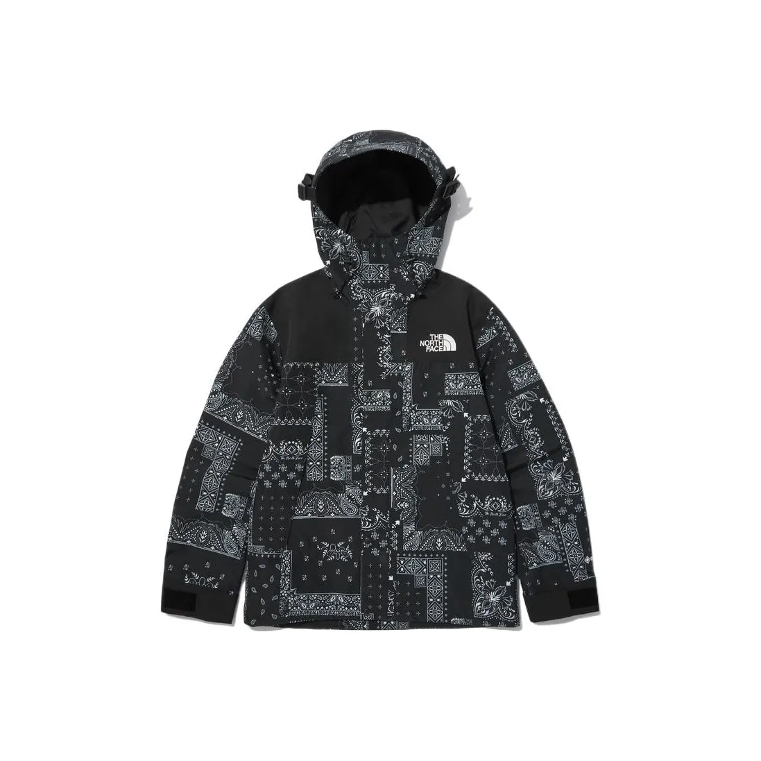 THE NORTH FACE Novelty Eco Gtx Mountain Jacket Matt Black Unisex Korea Version