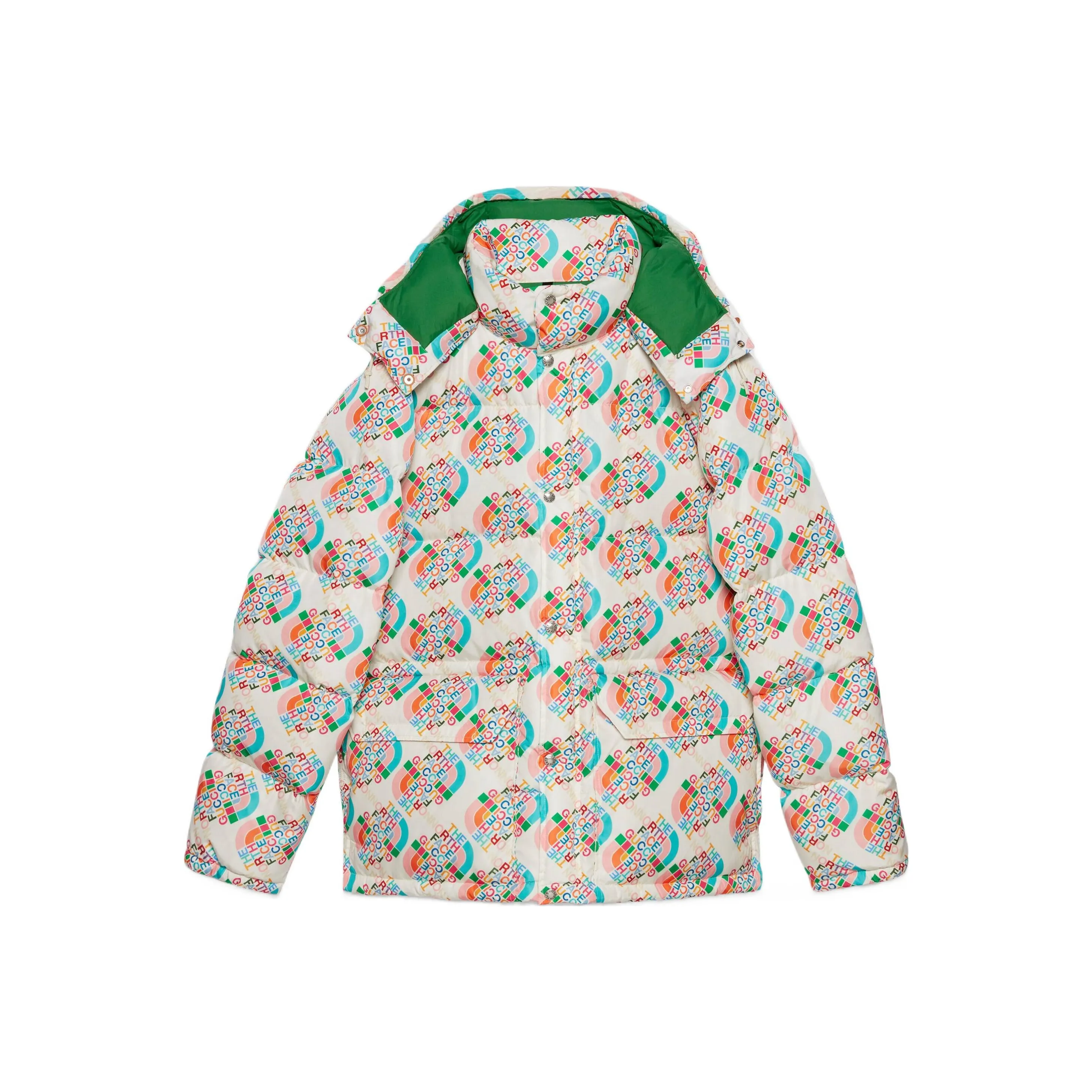 GUCCI X The North Face Down Jacket