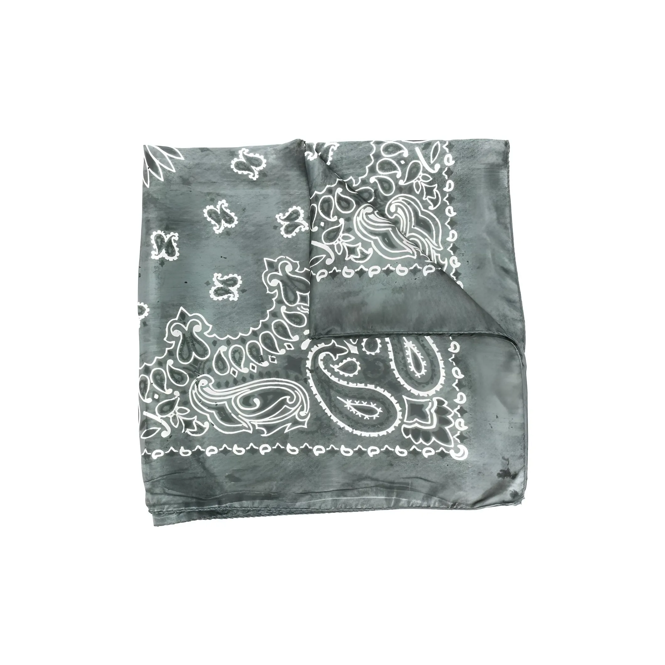 Golden Goose Paisley Printed Scarf