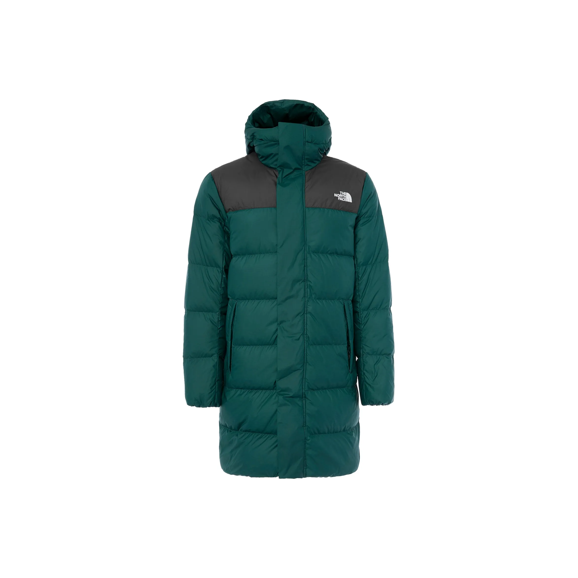 The North Face Зеленый Мужской Куртки