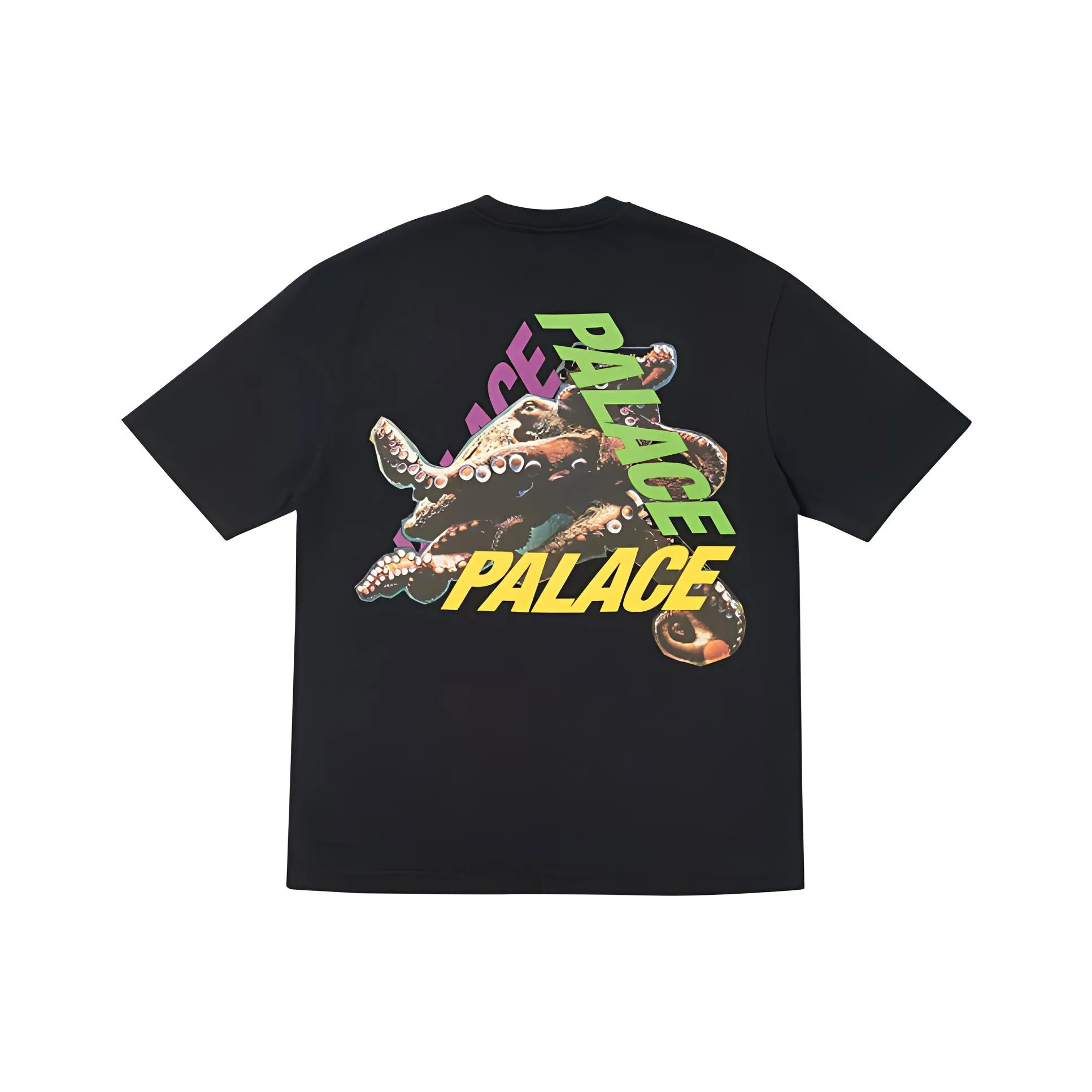 Дворцовый унисекс T-рубашки