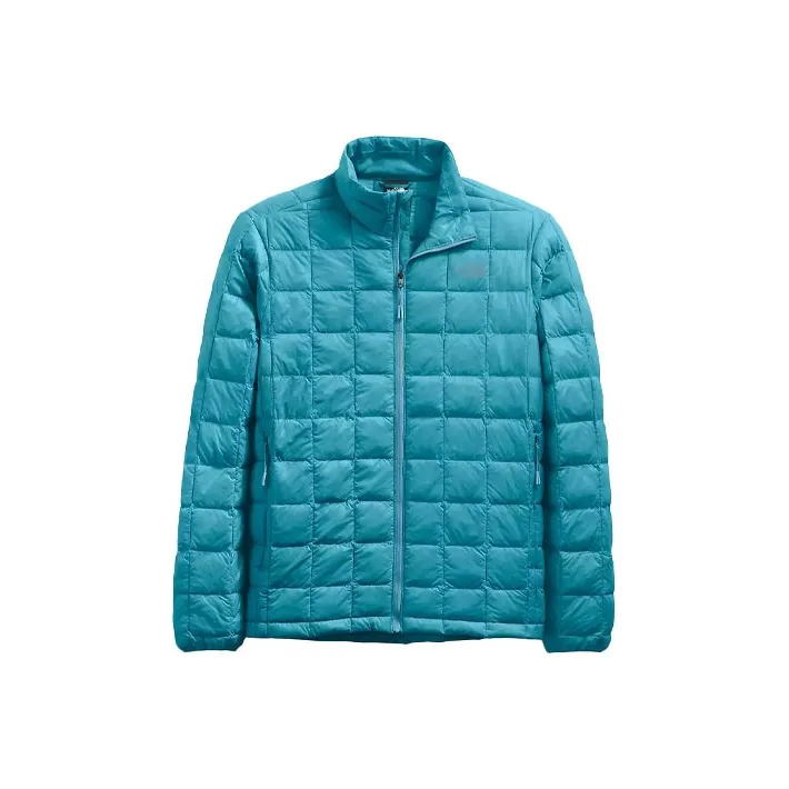 THE NORTH FACE Аква-синий Мужской Пуховик