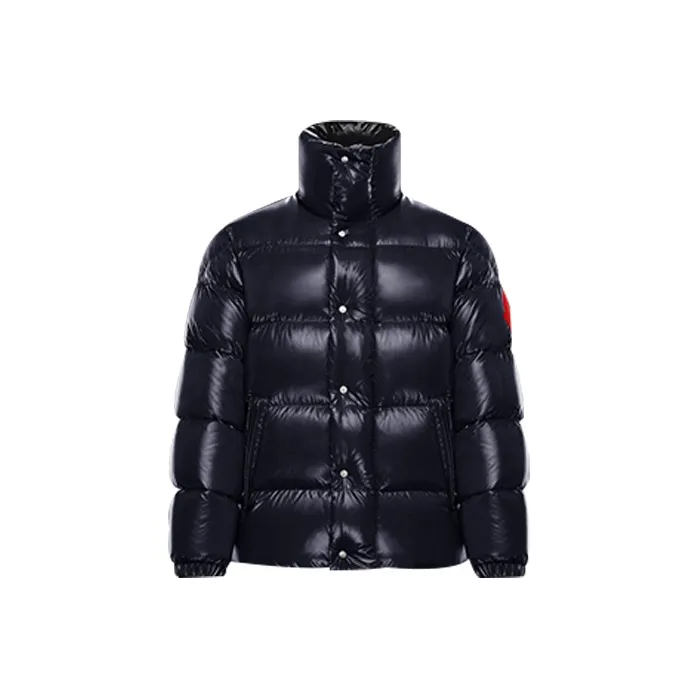 Moncler Winter Down Jacket Men's Blue