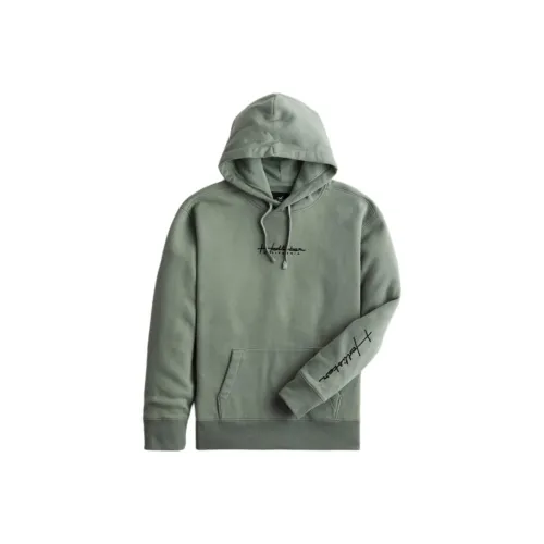 Hollister Шалфейно-зеленый Мужские Свитшоты