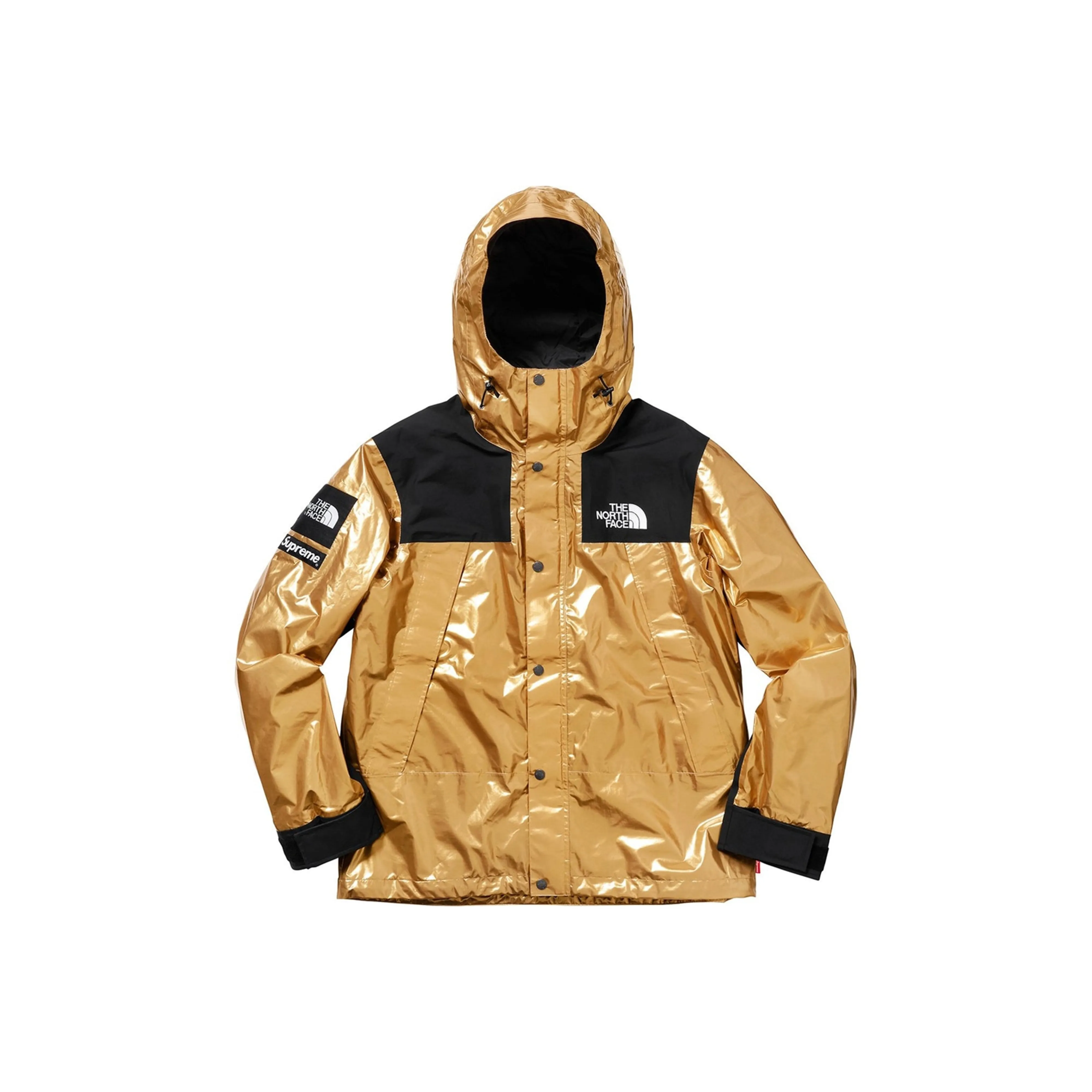 Supreme X The North Face Mountain Hooded Jacket