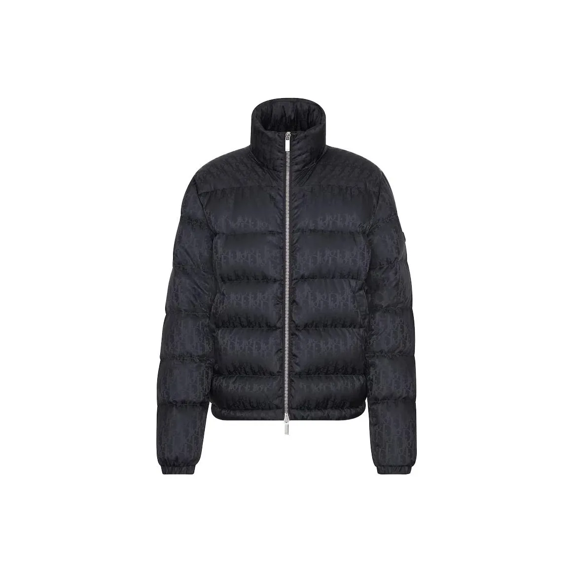 DIOR Oblique Down Jacket