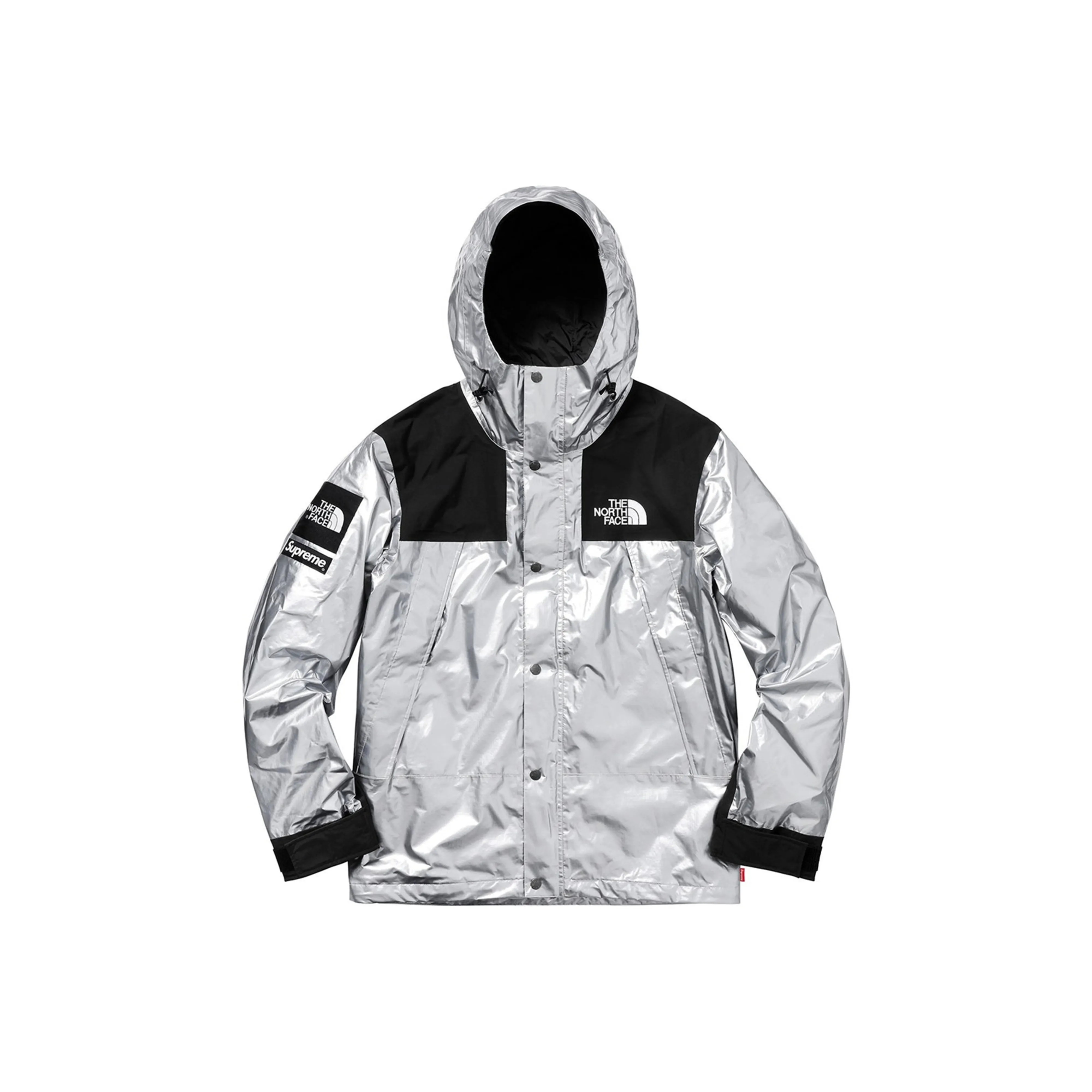 Supreme X The North Face Metallic Mountain Parka