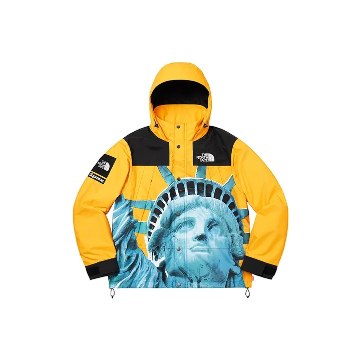 Supreme The North Face Statue Of Liberty Mountain Jacket