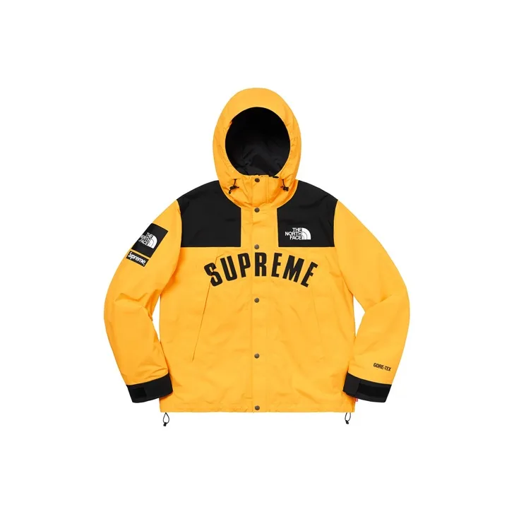 Supreme X The North Face Arc Logo Mountain Parka