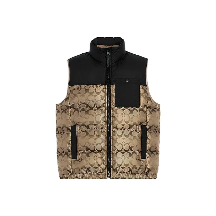 COACH Gold Men's Down Jackets COACH Золотой Мужской Пуховик