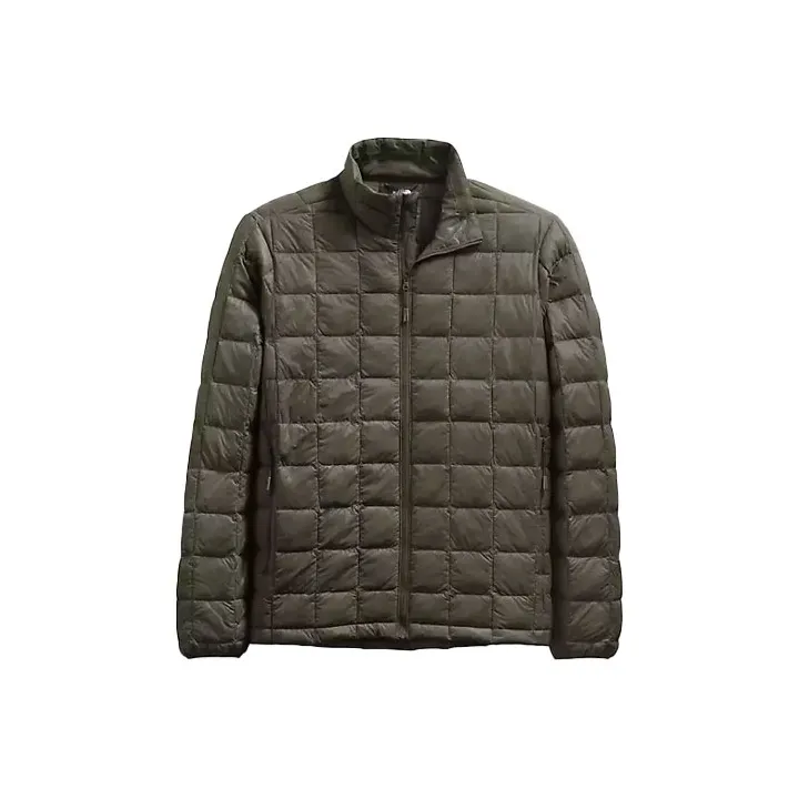 The North Face Зеленый Мужской Пуховик