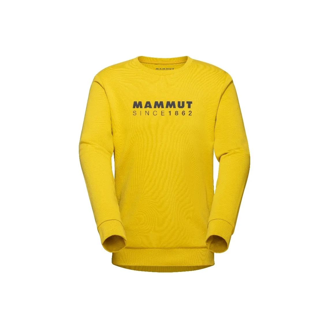 MAMMUT Core ML Свитшот Мужской