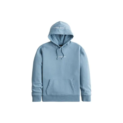 Hollister Светло-синий Мужские Свитшоты