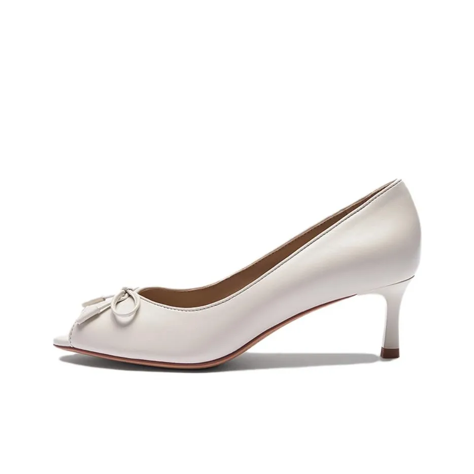 LE SAUNDA Высокий каблук Узкий нос Женские