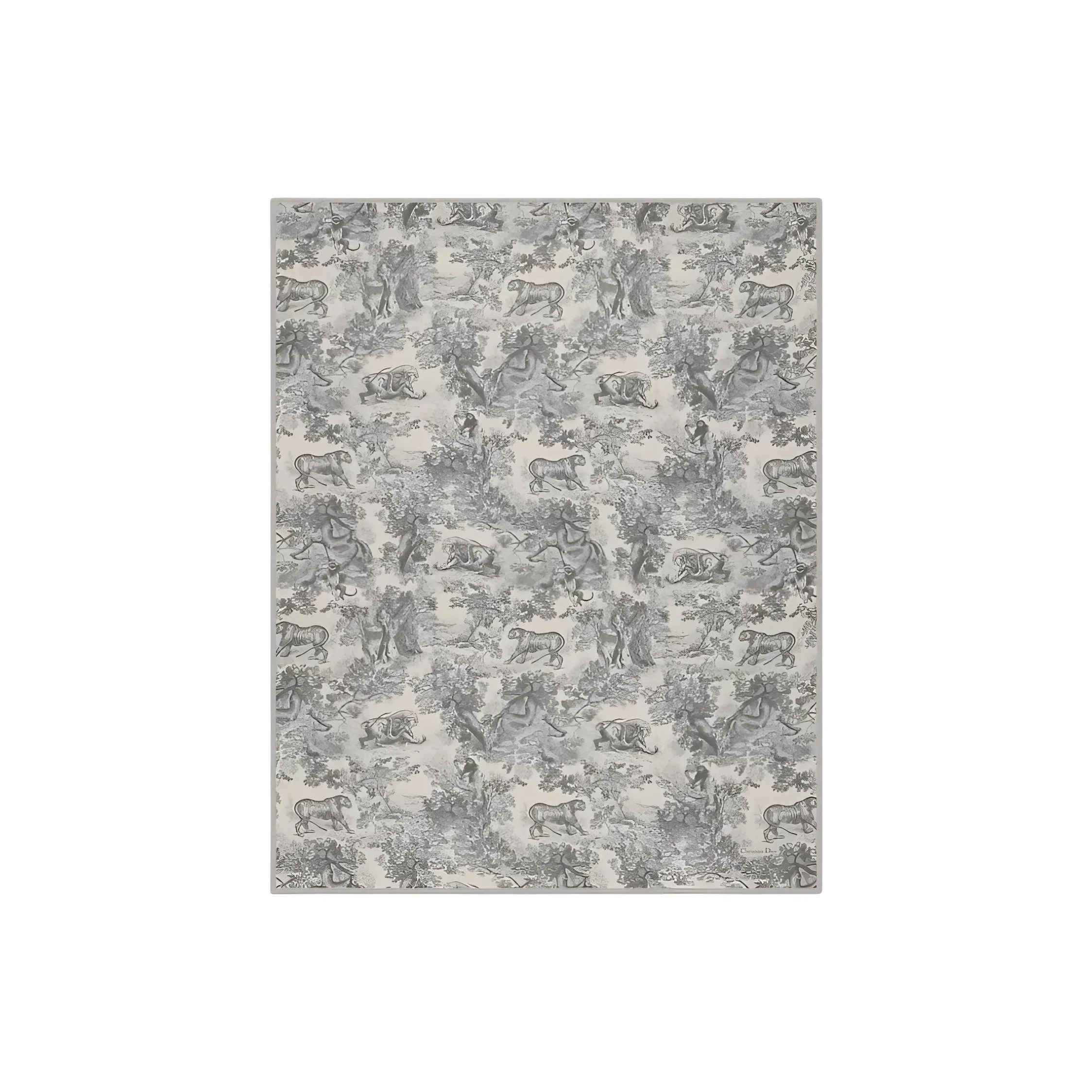 DIOR Cashmere Shawls Women's Ivory