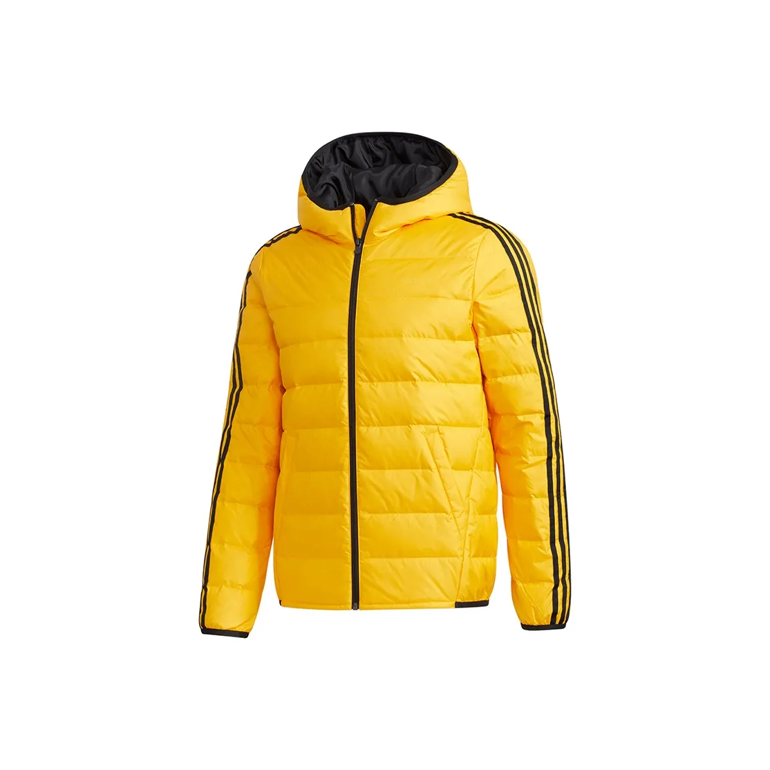 Adidas Neo Down Jackets Men's Gold