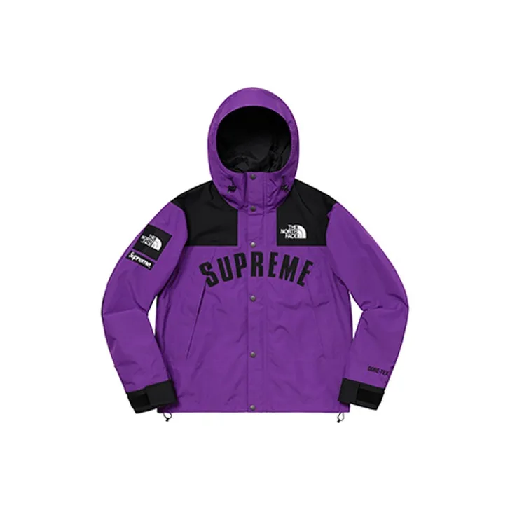 Supreme The North Face Arc Logo Mountain Parka