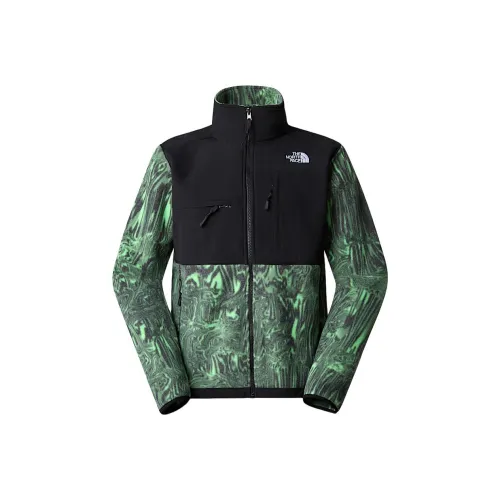 The North Face Denali Зеленая Мужская Куртка