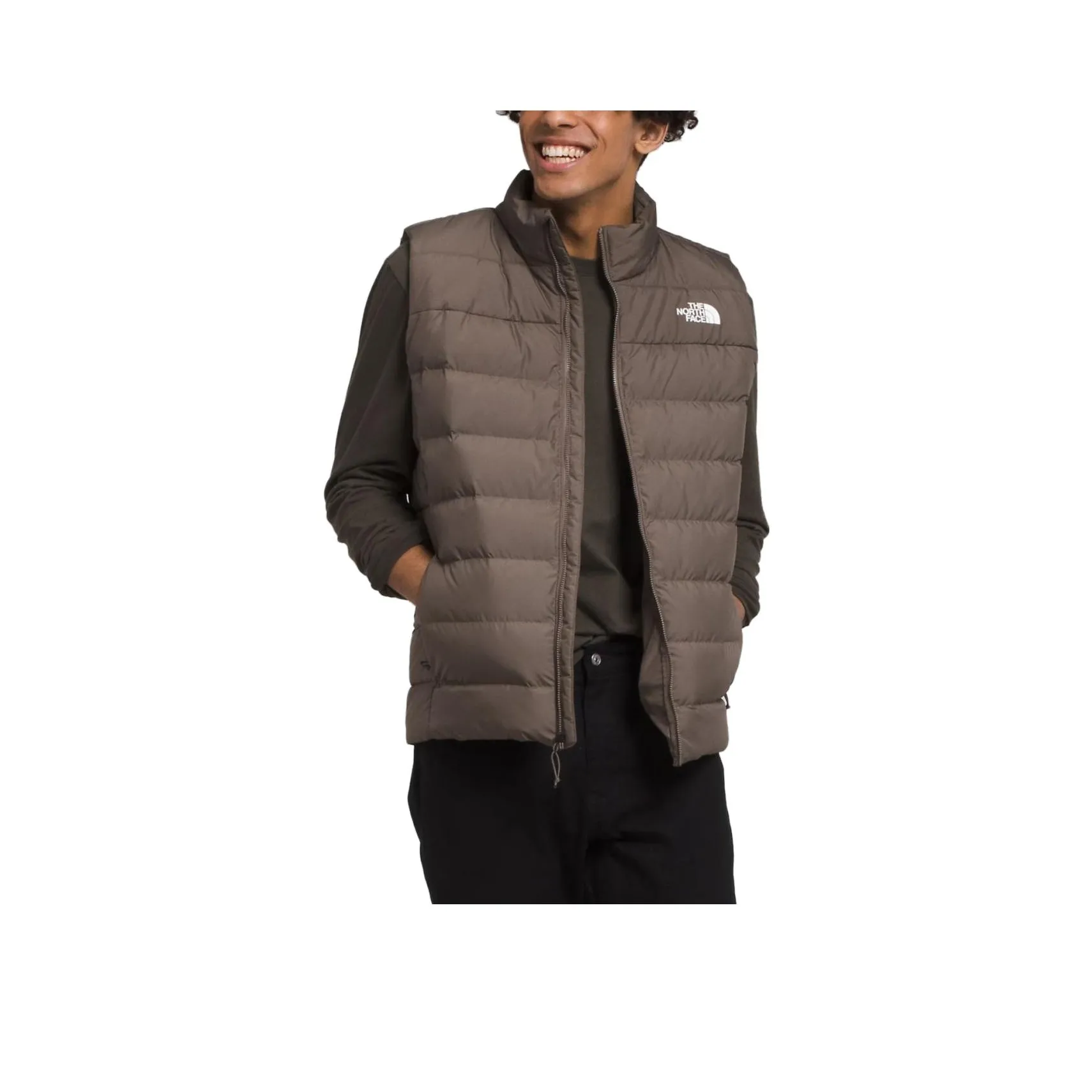 THE NORTH FACE Коричневый Мужской жилет