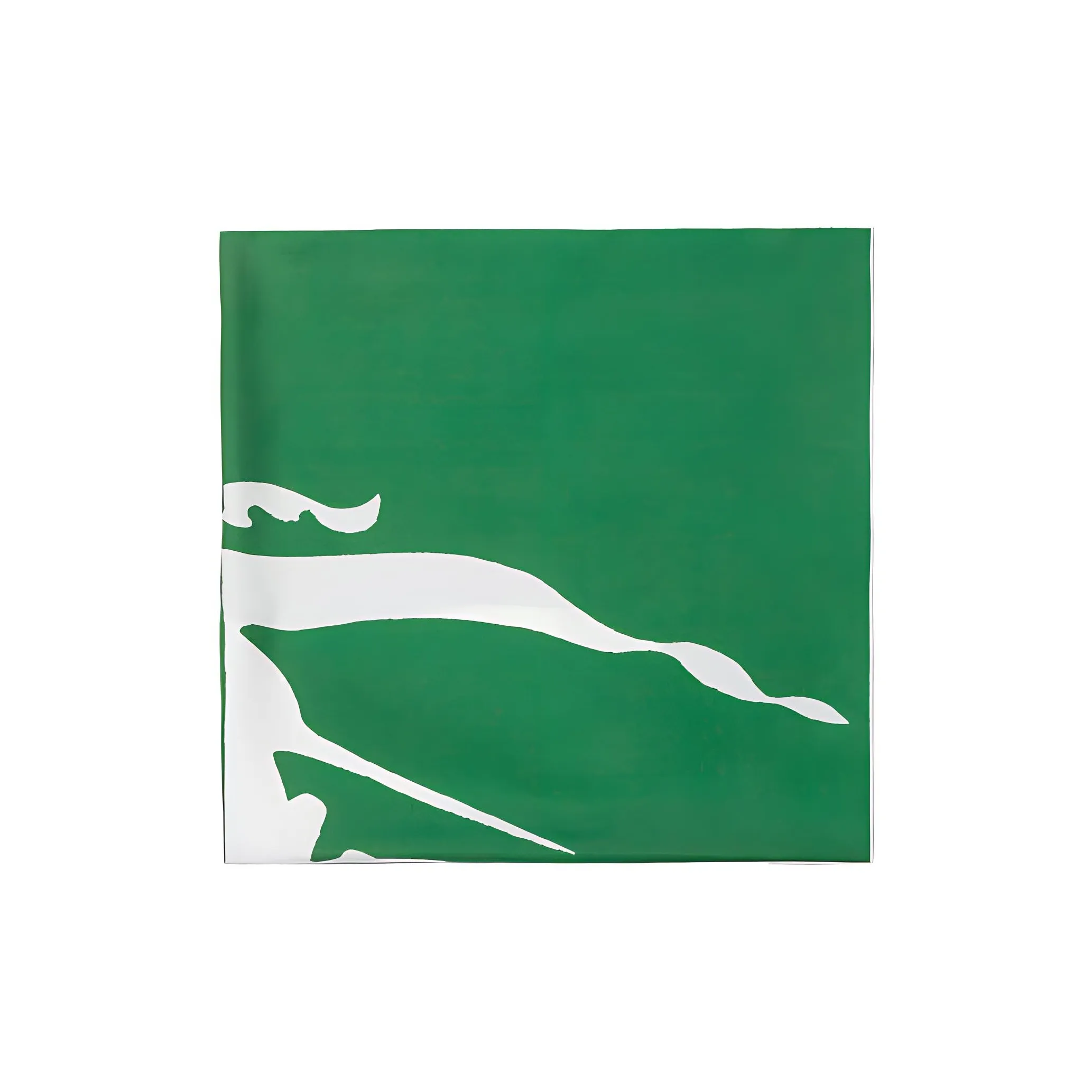 Burberry Шелковые Шарфы Женские Зеленый