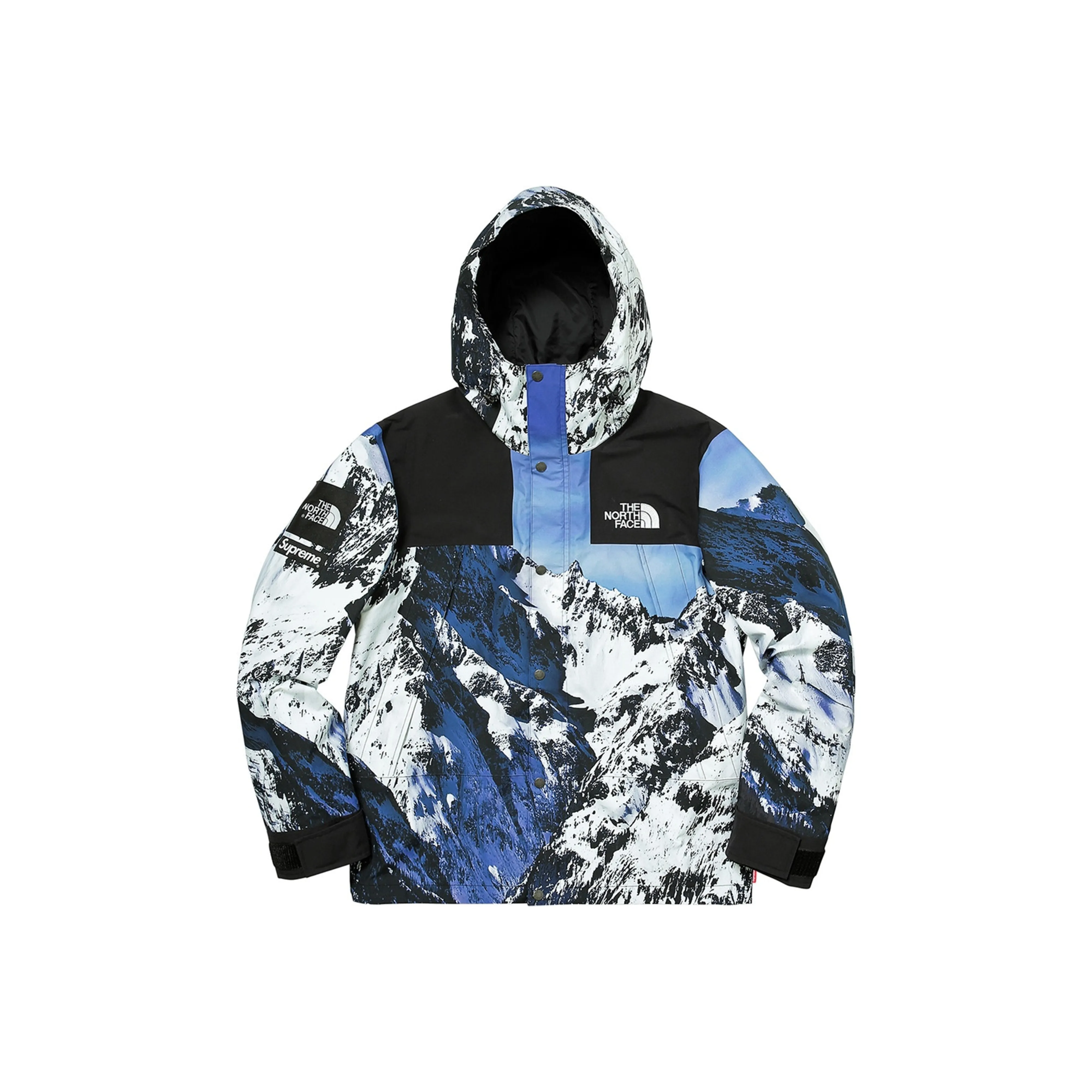 Supreme The North Face Mountain Parka
