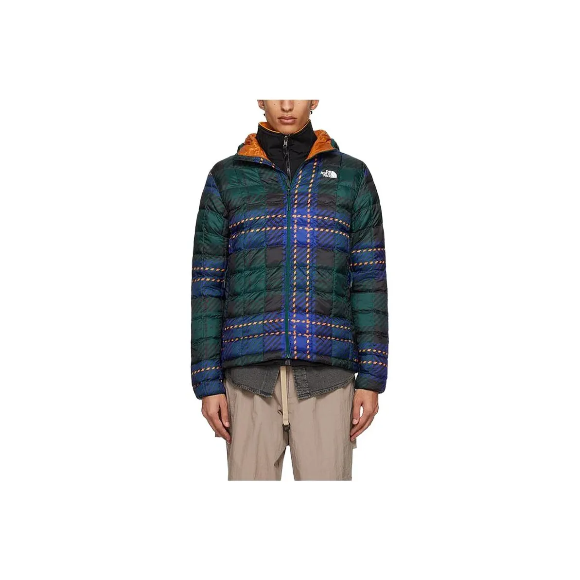 The North Face Бирюзовый Мужской Куртки