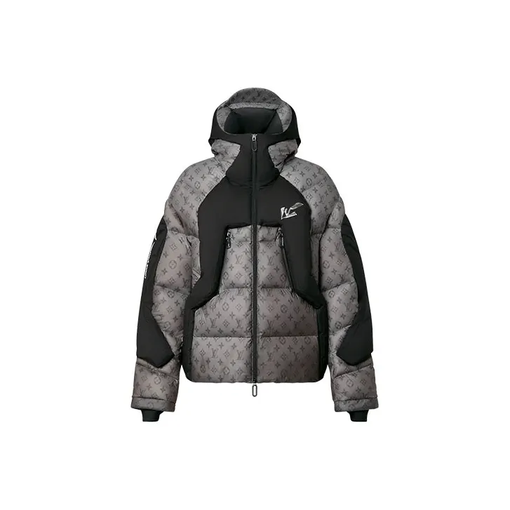 LOUIS VUITTON Down treffen jacket Winter Men's Gray