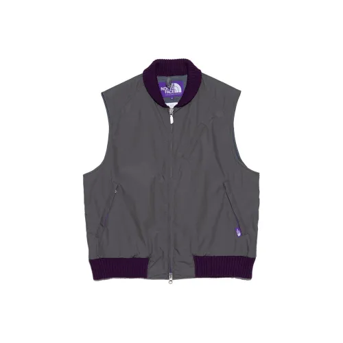 THE NORTH FACE PURPLE LABEL FW23 Асфальтовый серый Мужские жилеты