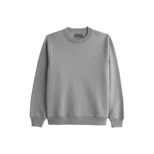 Abercrombie＆Fitch Серый Мужские Свитшоты