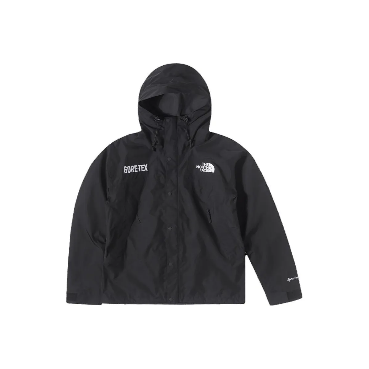 THE NORTH FACE Gore Tex Mountain Jacket
