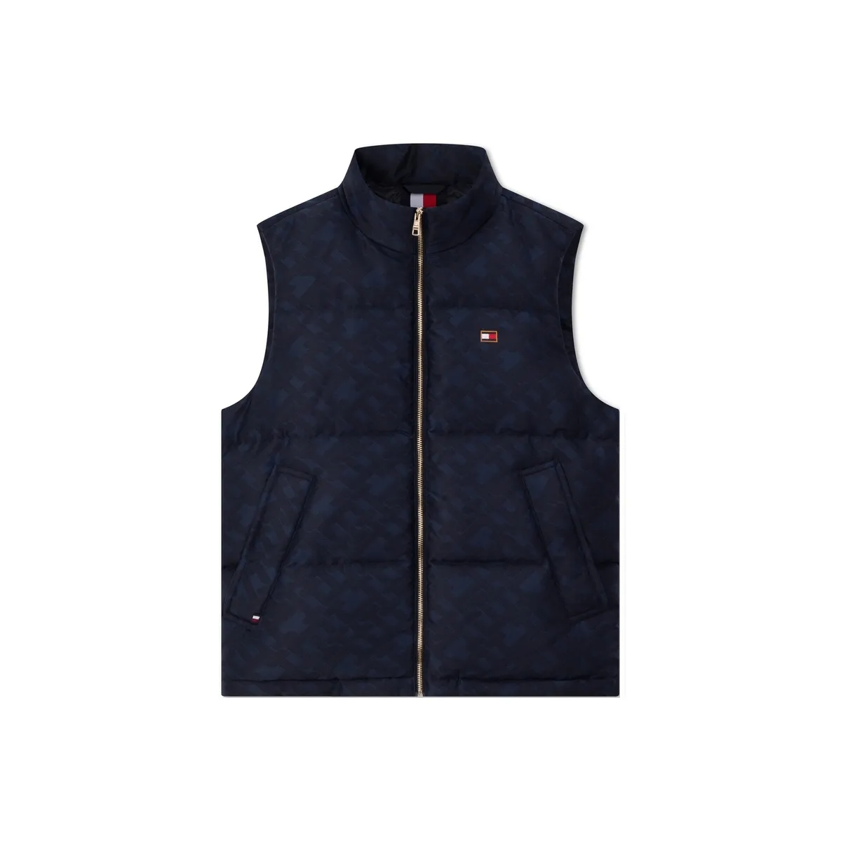 Tommy Hilfiger Year Of The Dragon Series Vests Men's