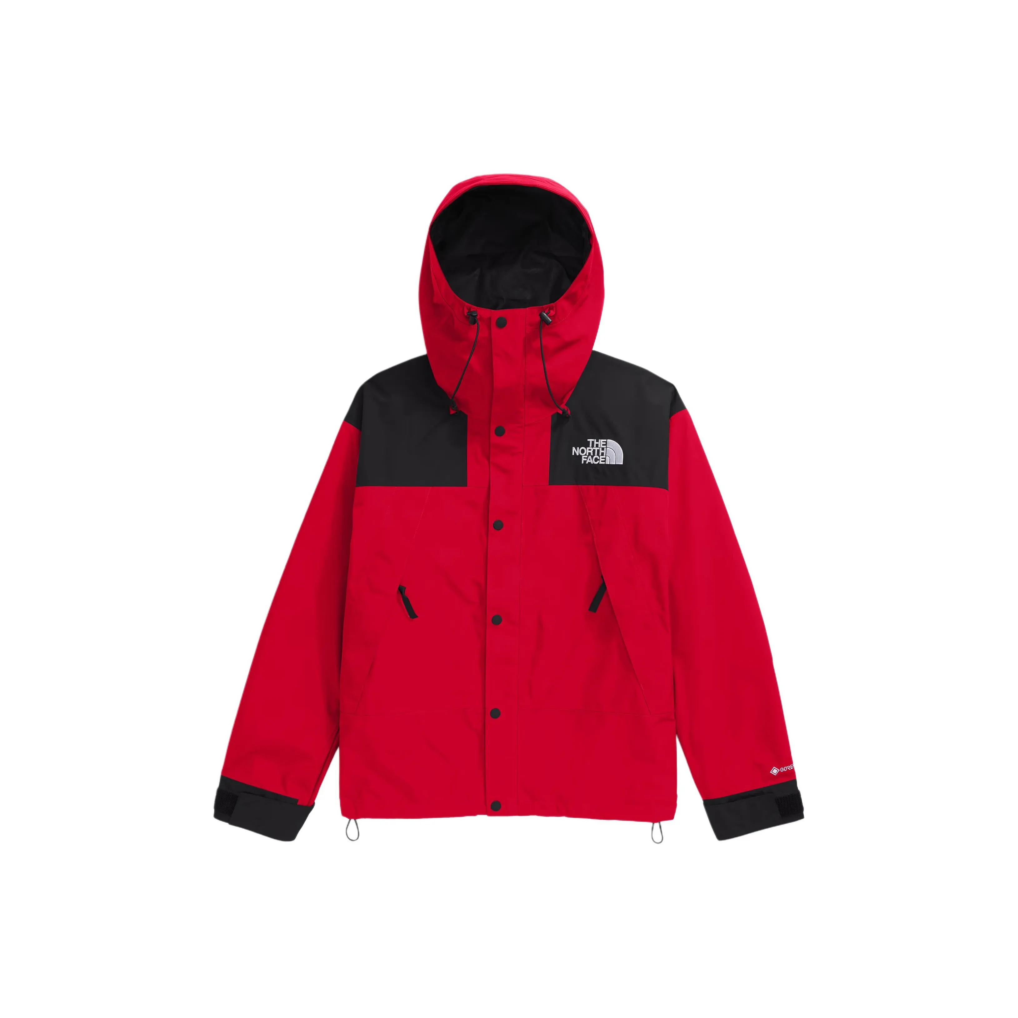 THE NORTH FACE Gtx Mountain Jacket