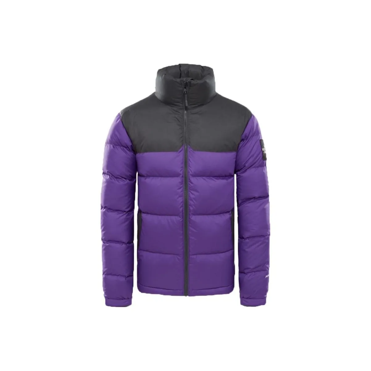THE NORTH FACE 1992 Collection Пуховик Мужской Фиолетовый