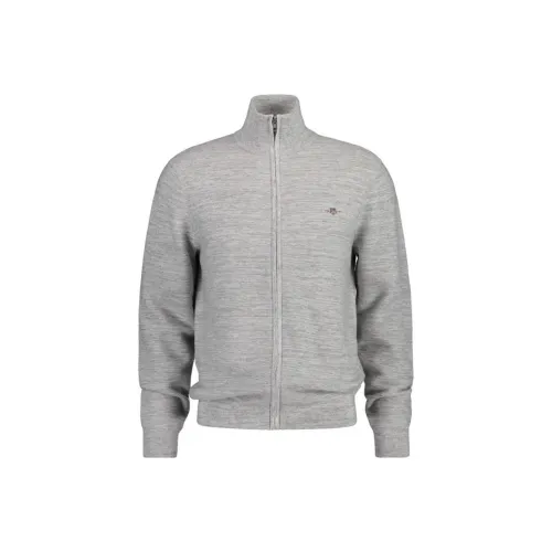 GANT Серый Мужские Куртки