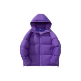 퍼플