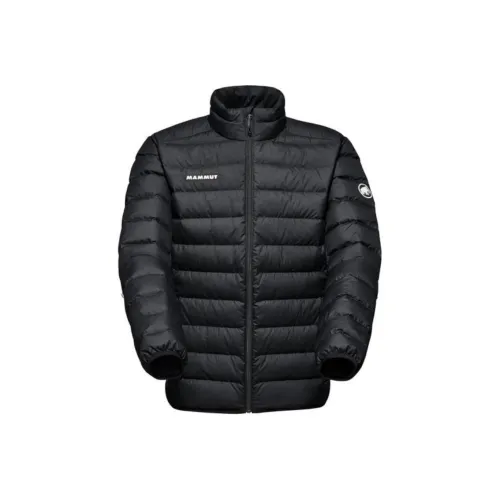 MAMMUT Мужские Куртки