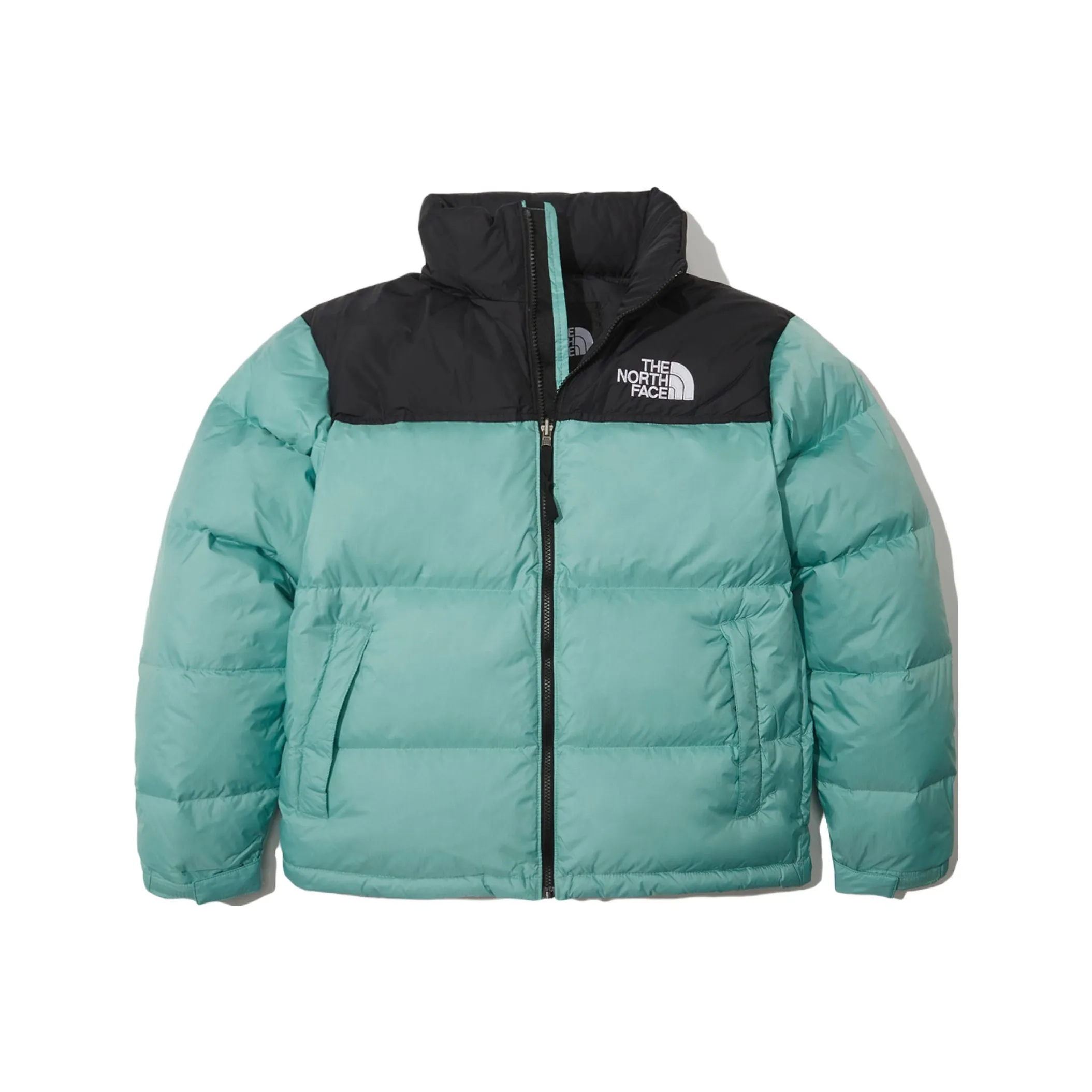 THE NORTH FACE 1996 Collection Пуховик Зимний Мужской Мятный