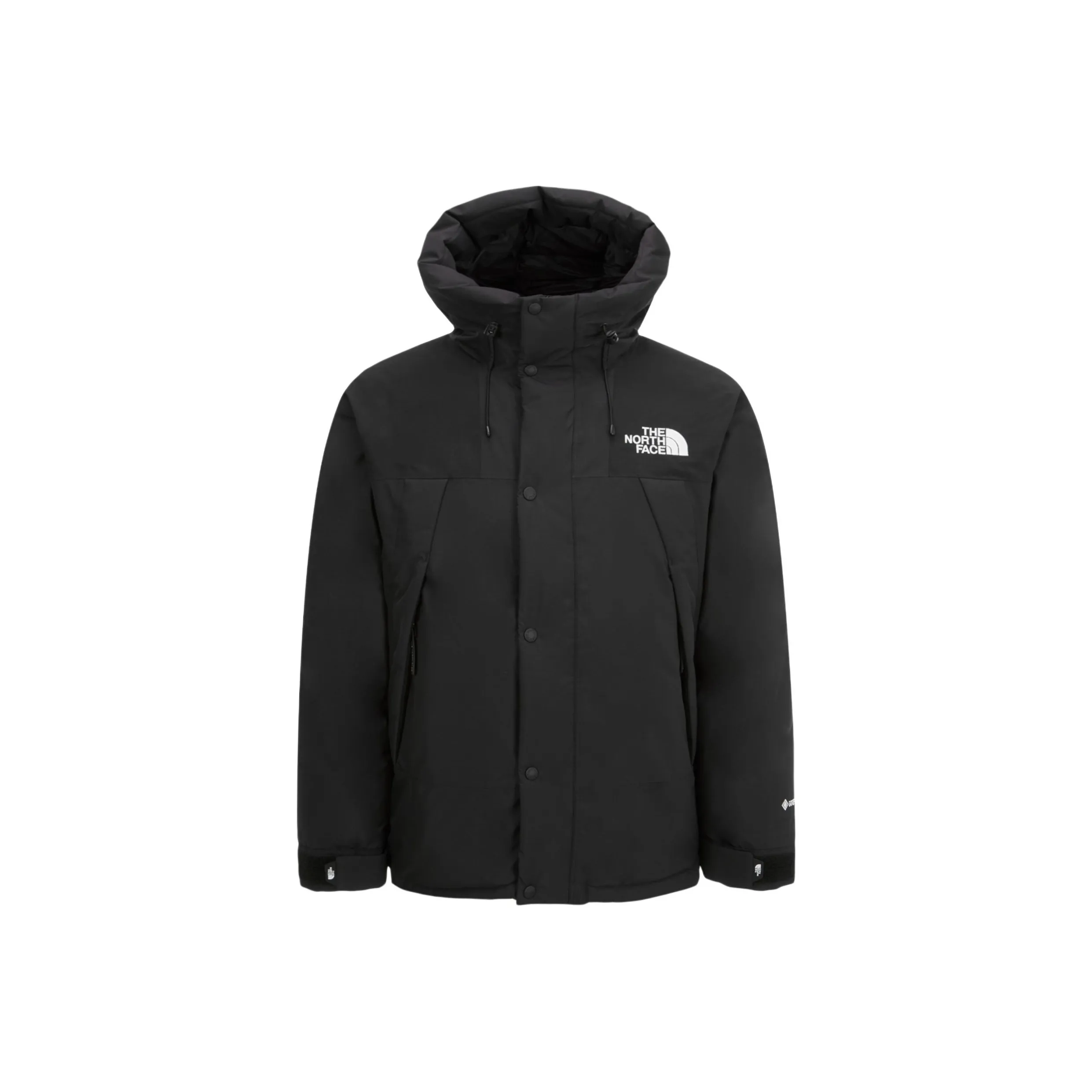 THE NORTH FACE Gtx Mountain Jacket