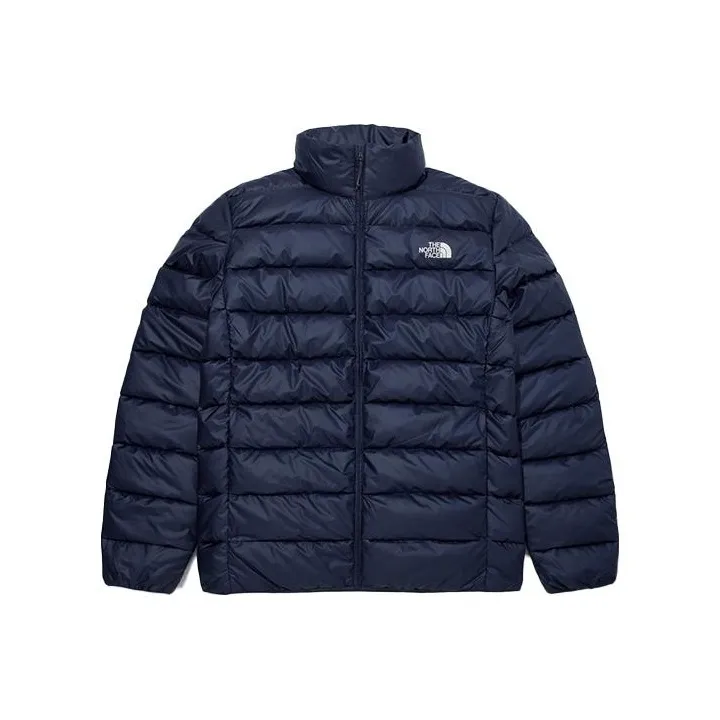 The North Face Темно-синий Синий Мужской Пуховик