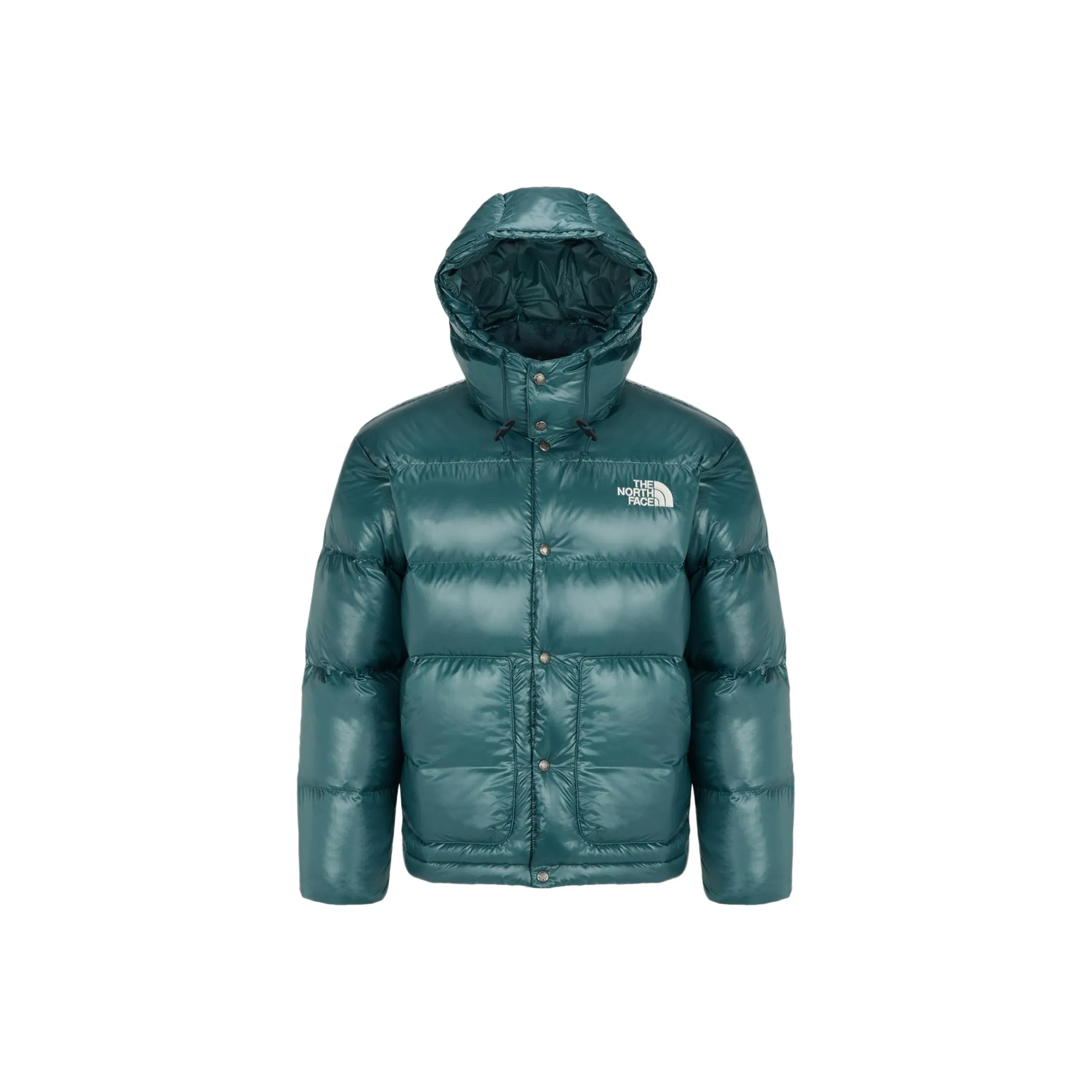 THE NORTH FACE Пуховик Мужской Зеленый