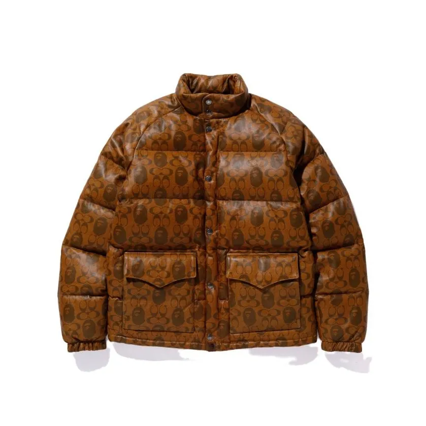 Bape X Coach Leather Down Jacket