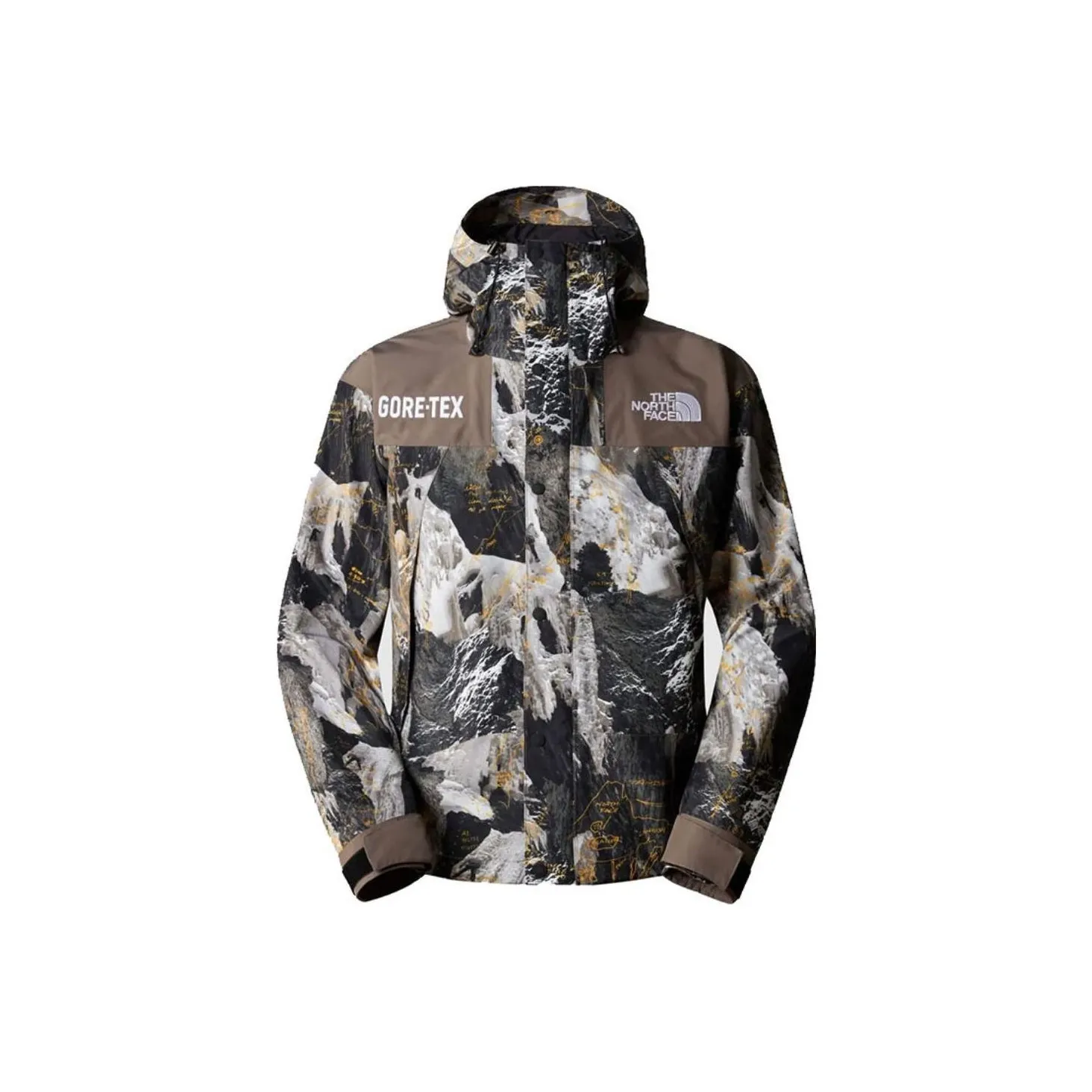 THE NORTH FACE Gtx Mountain Jacket
