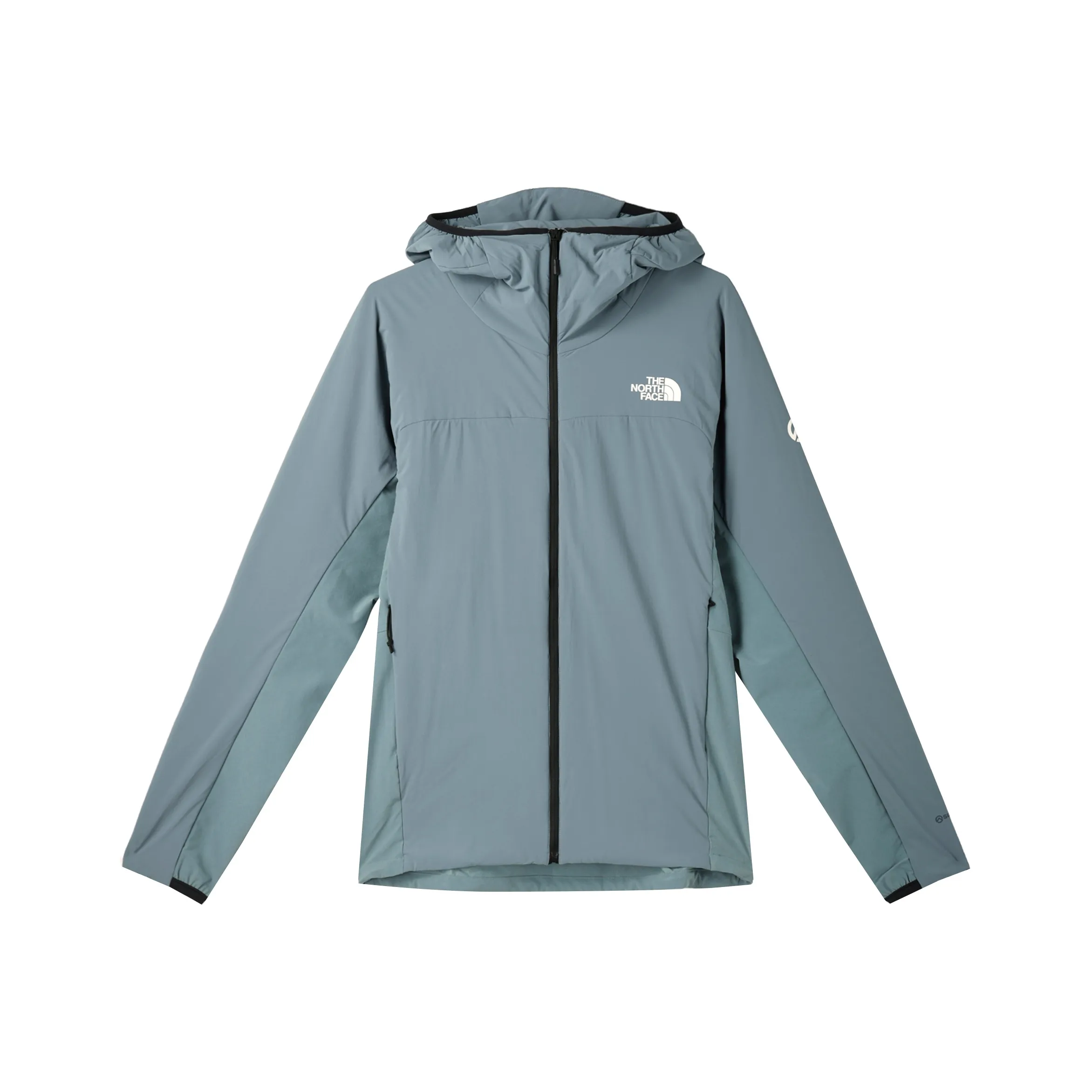 THE NORTH FACE Puffer Jackets Men's Gray Blue