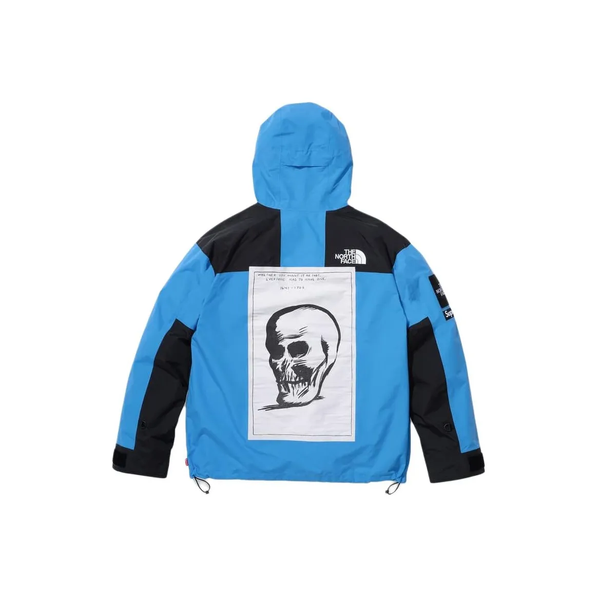 Supreme The North Face Mountain Jacket