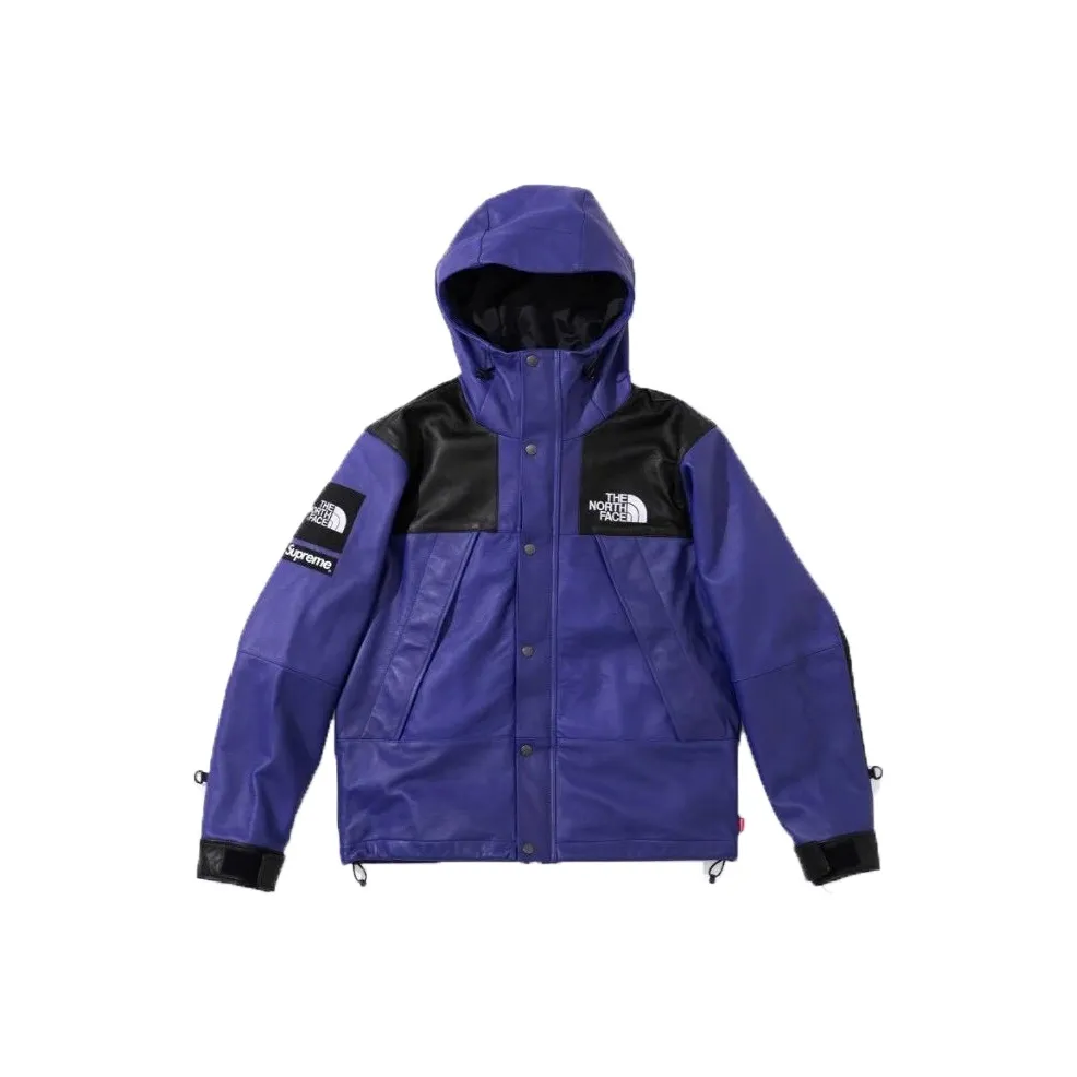 Supreme The North Face Leather Mountain Parka