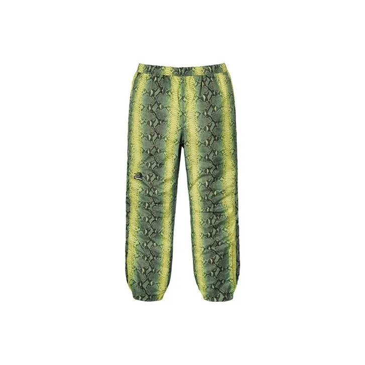 Supreme The North Face Snakeskin Taped Seam Pant