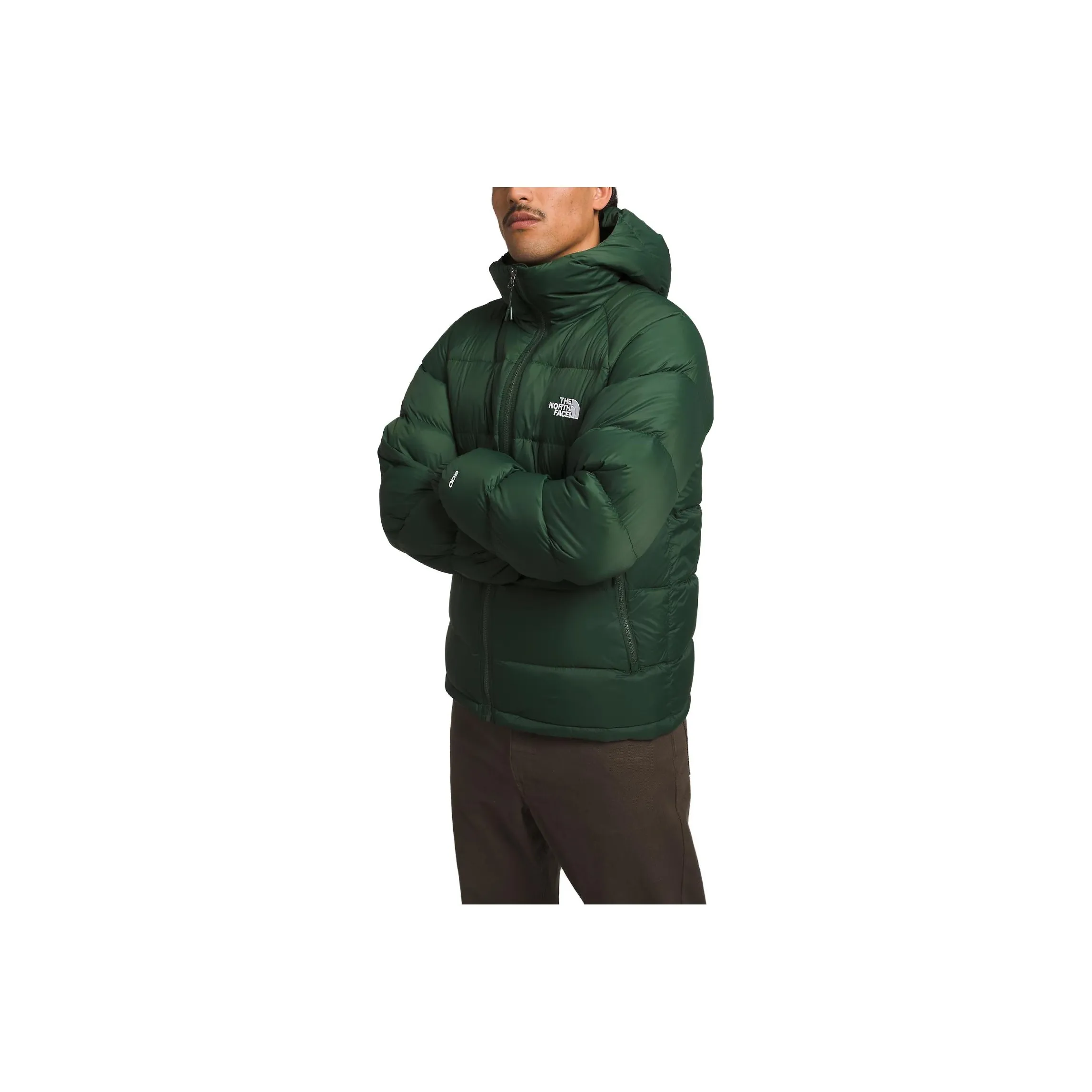 THE NORTH FACE Hydrenalite Down Jacket Men's Pine Needle