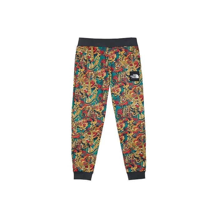 The North Face Многоцветные Мужские Вязаные Спортивные Штаны